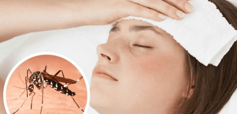 Aumentan los casos de dengue en&nbsp;Uruguay