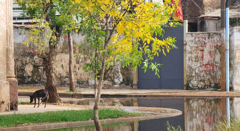 Más de 2.100 Desplazados por Crecidas y Tormentas en Varias Zonas del&nbsp;País